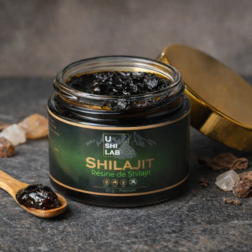 Pot de résine de shilajit pur UshiLab